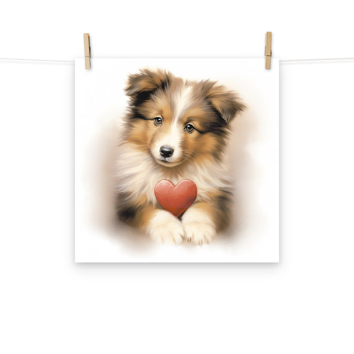 Shetland Sheepdog Photo paper poster - PosterfyAI.com