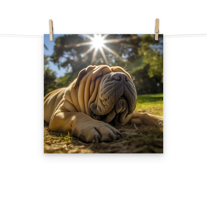 Shar Pei Photo paper poster - PosterfyAI.com