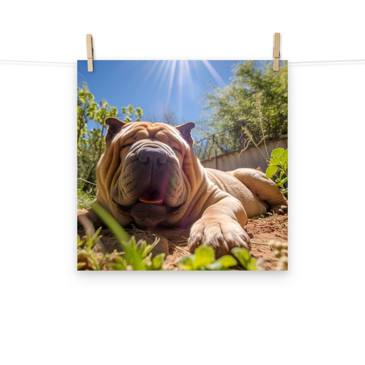 Shar Pei Photo paper poster - PosterfyAI.com
