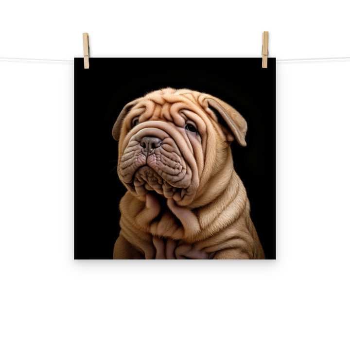 Shar Pei Photo paper poster - PosterfyAI.com