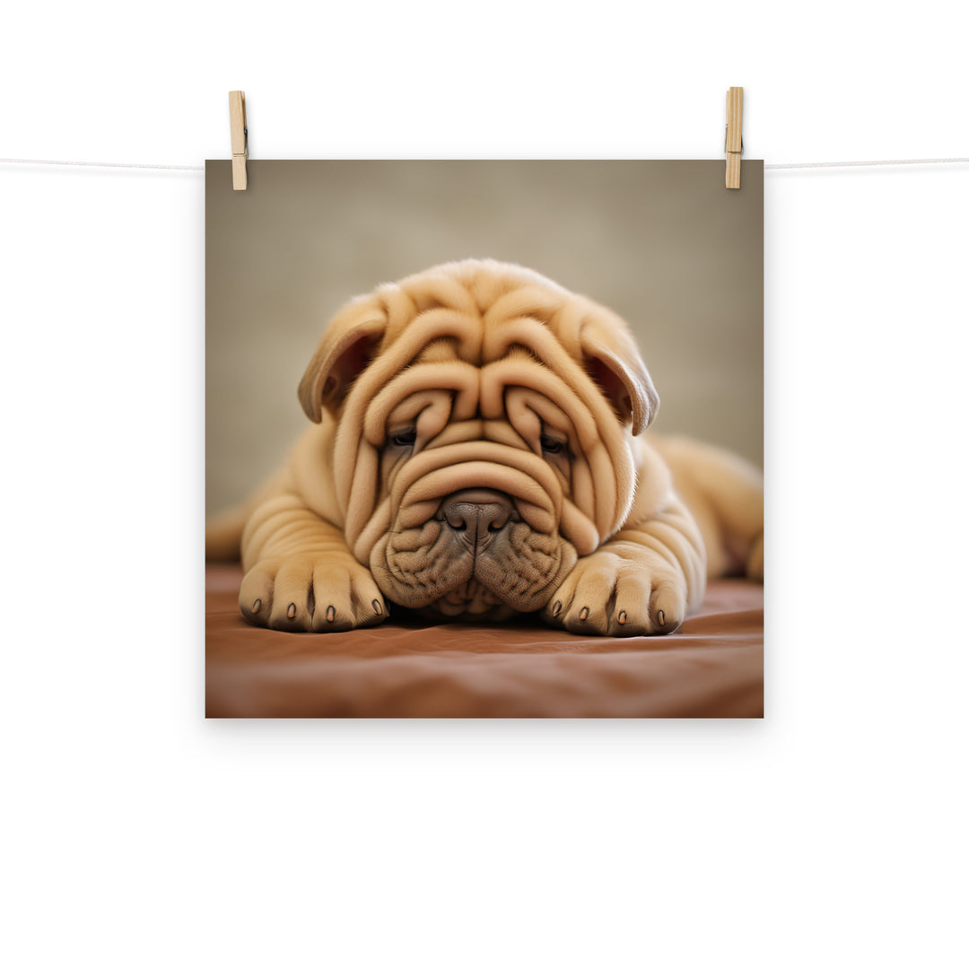 Shar Pei Photo paper poster - PosterfyAI.com