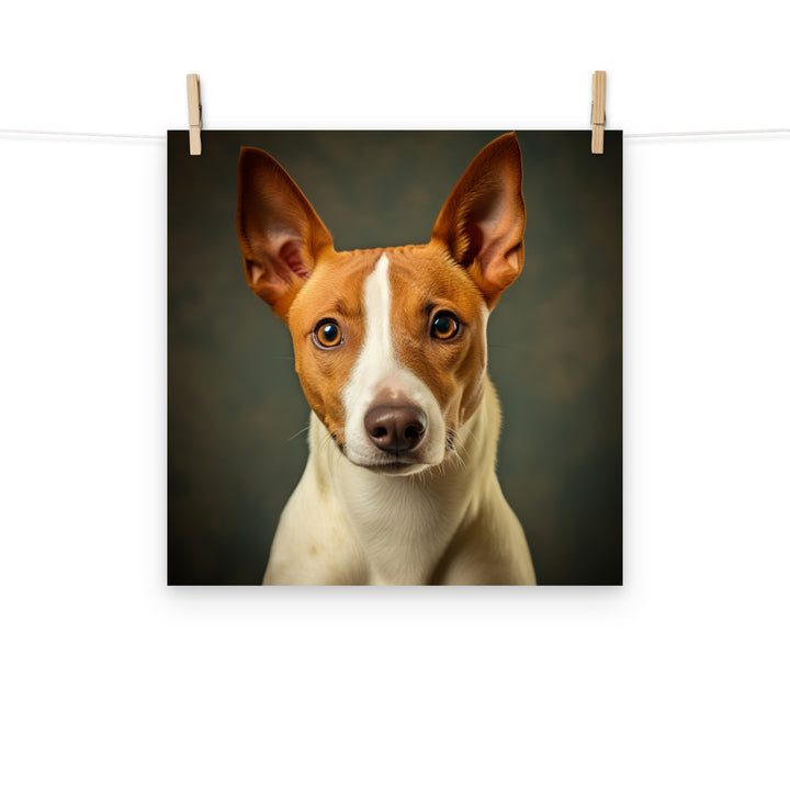 Basenji Photo paper poster - PosterfyAI.com