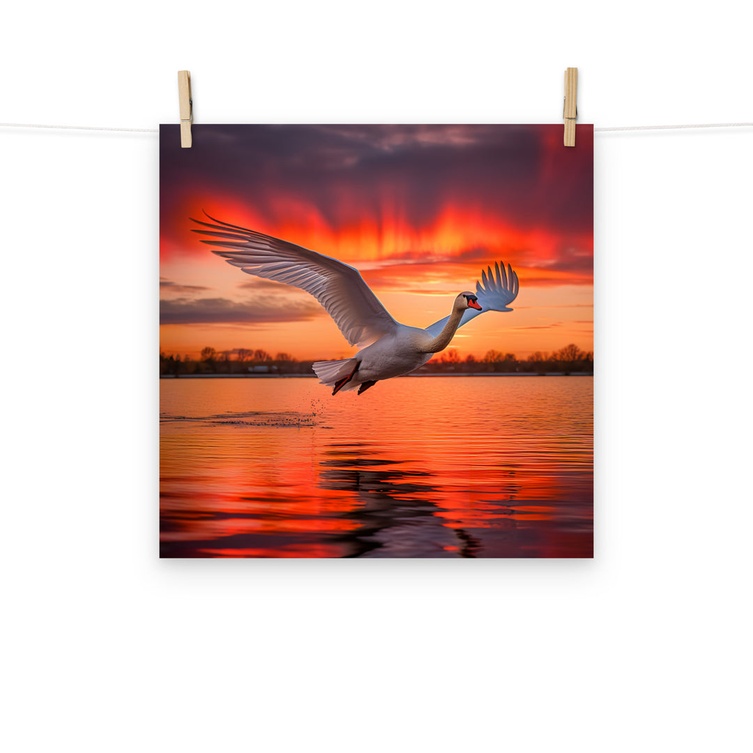 Swan Photo paper poster - PosterfyAI.com