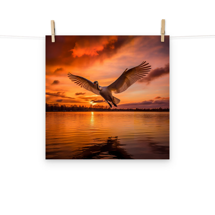 Swan Photo paper poster - PosterfyAI.com