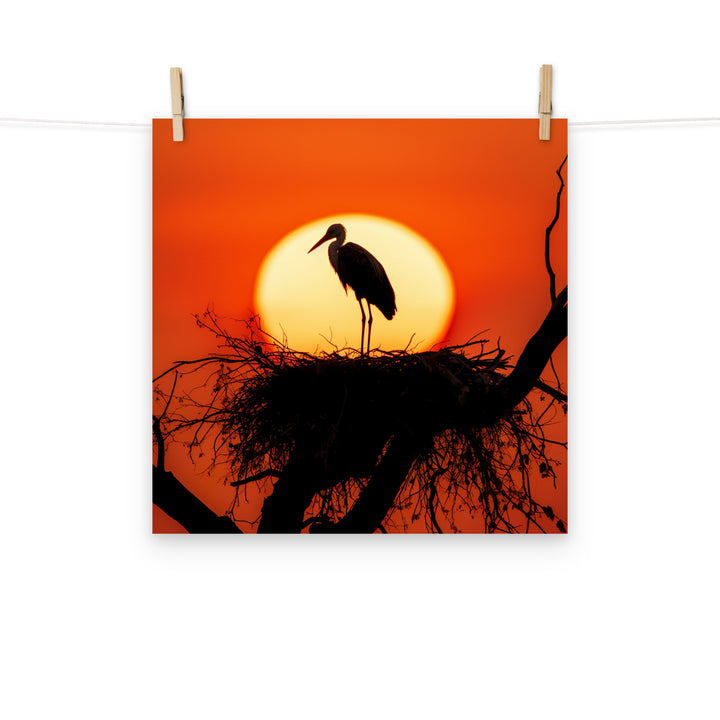 Stork Photo paper poster - PosterfyAI.com