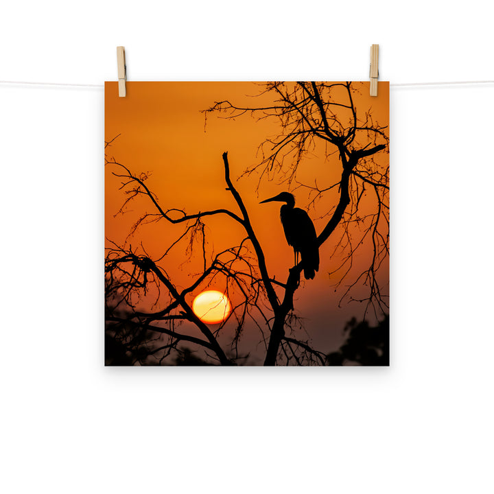 Stork Photo paper poster - PosterfyAI.com