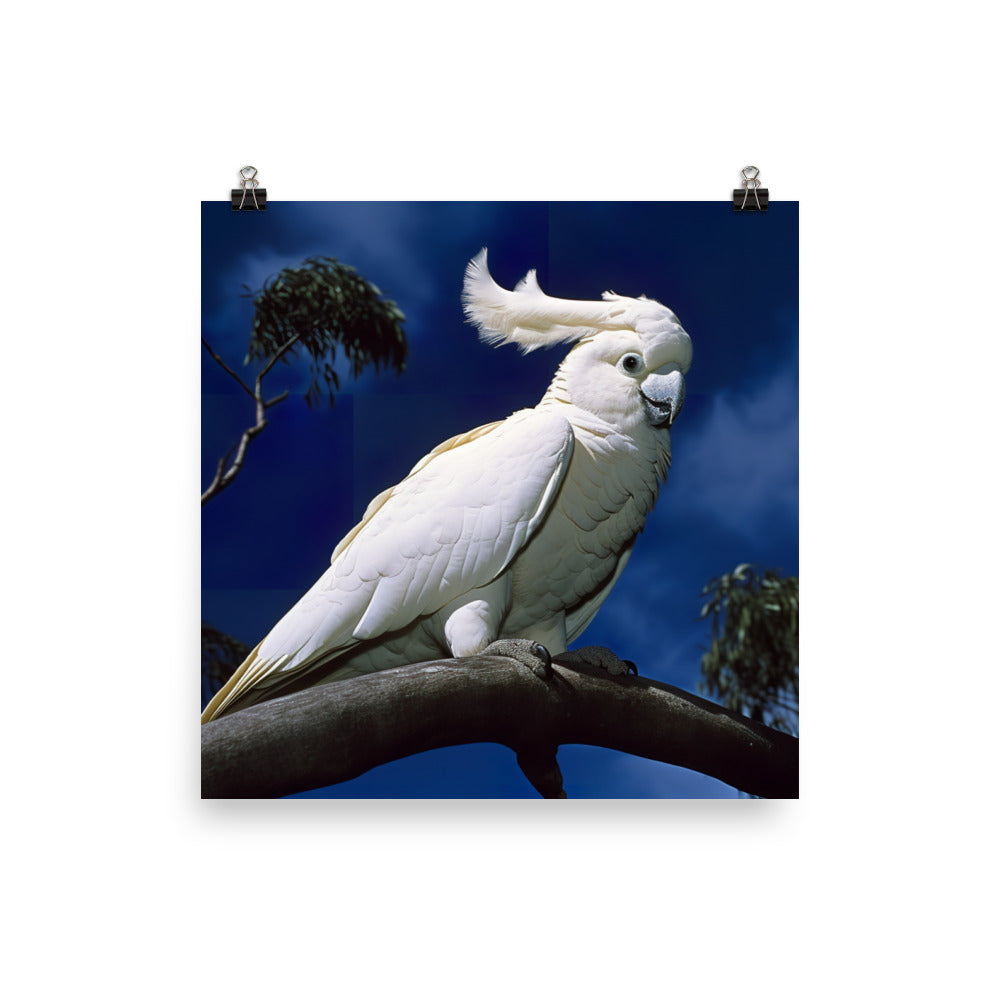 Snowy White Cockatoo Photo paper poster - PosterfyAI.com