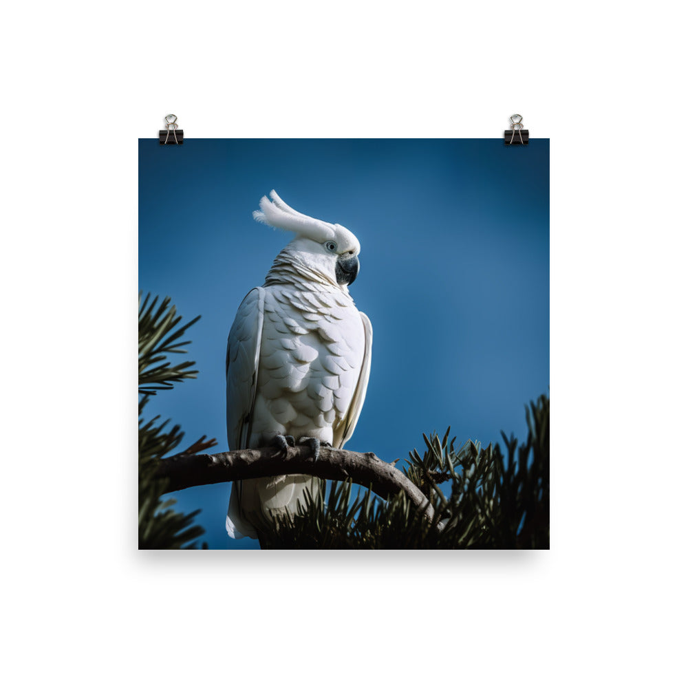 Snowy White Cockatoo Photo paper poster - PosterfyAI.com