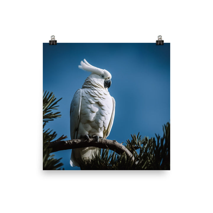 Snowy White Cockatoo Photo paper poster - PosterfyAI.com