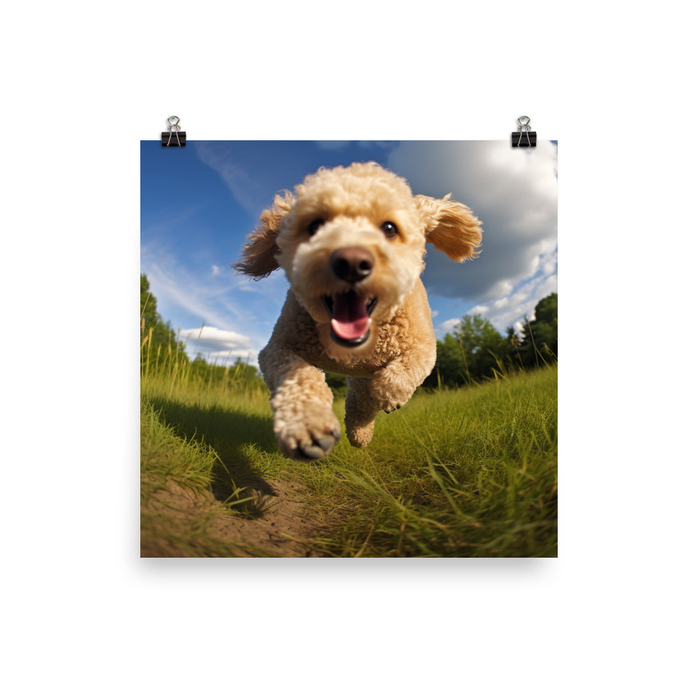 The Playful Poodle Photo paper poster - PosterfyAI.com