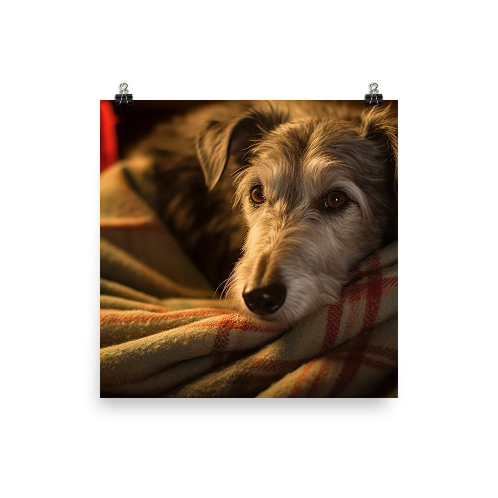 Sleepy Scottish Deerhound by the Fire Photo paper poster - PosterfyAI.com