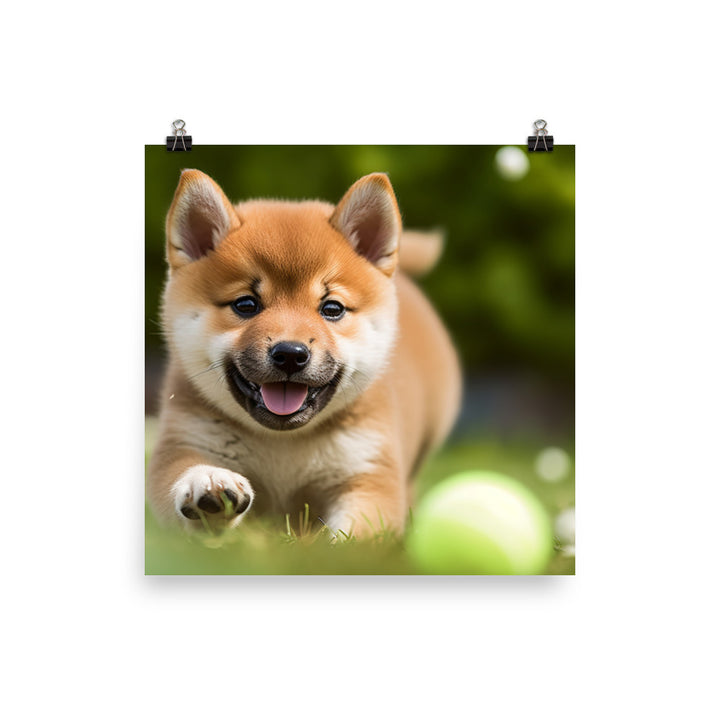 Shiba Inu Pup Playing Photo paper poster - PosterfyAI.com