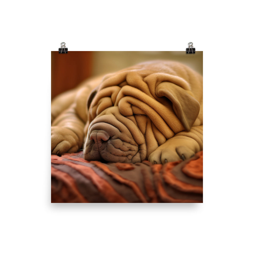 Shar Pei Dreaming Photo paper poster - PosterfyAI.com