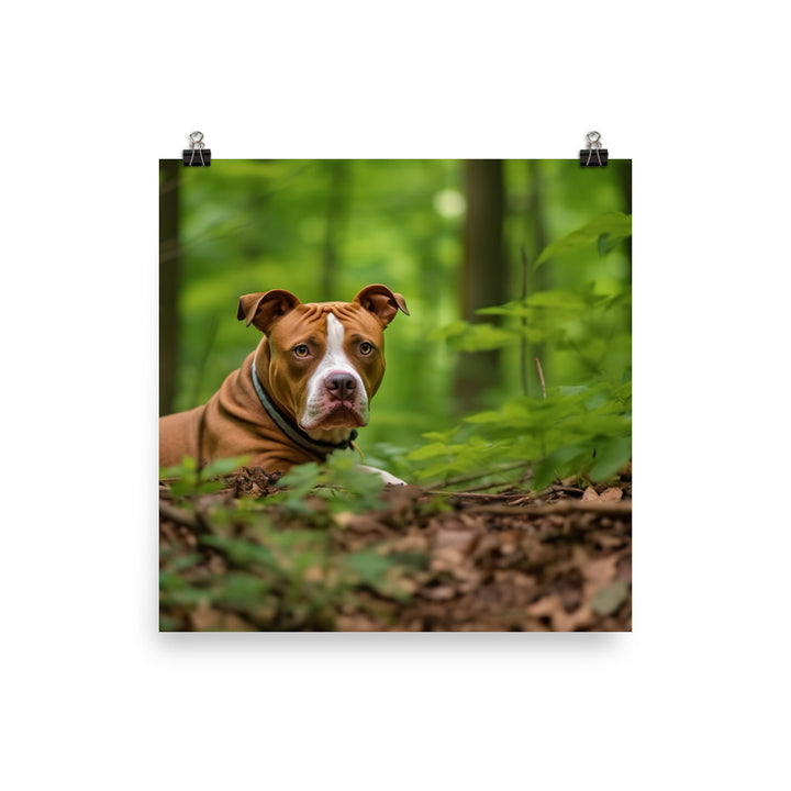 Serene American Staffordshire Terrier Photo paper poster - PosterfyAI.com