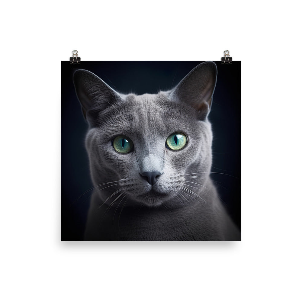 Beauty of Russian Blue Cat Photo paper poster - PosterfyAI.com