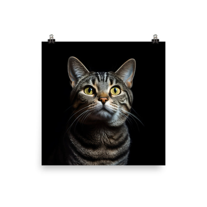 American Shorthair Cat Photo paper poster - PosterfyAI.com