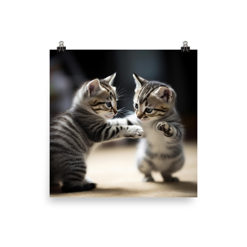 American Shorthair Cat Photo paper poster - PosterfyAI.com