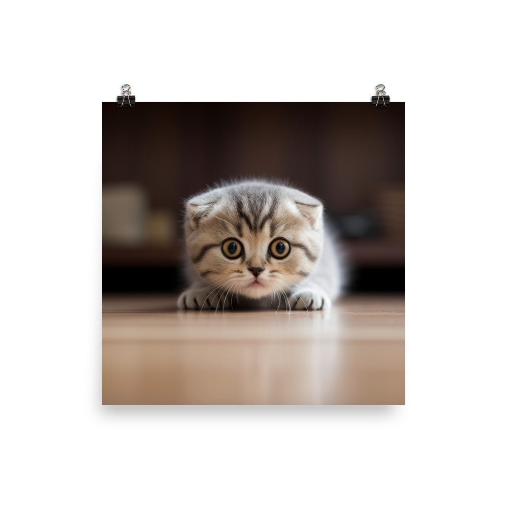 Scottish Fold Kitten Photo paper poster - PosterfyAI.com