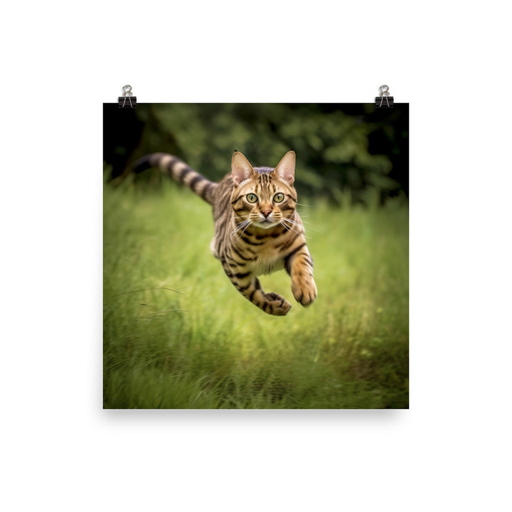 Bengal Cat Hunting Adventure Photo paper poster - PosterfyAI.com
