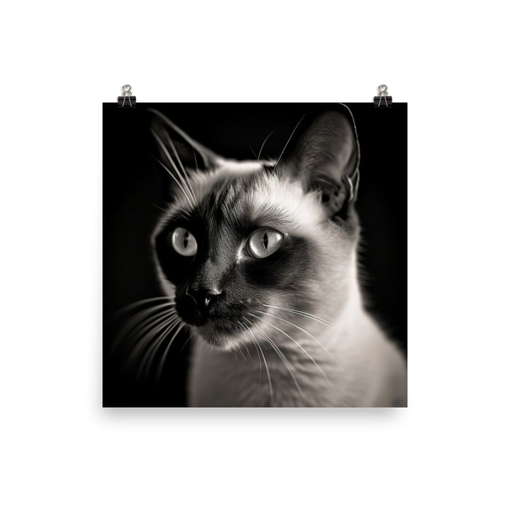 Siamese Charm in Black and White Photo paper poster - PosterfyAI.com