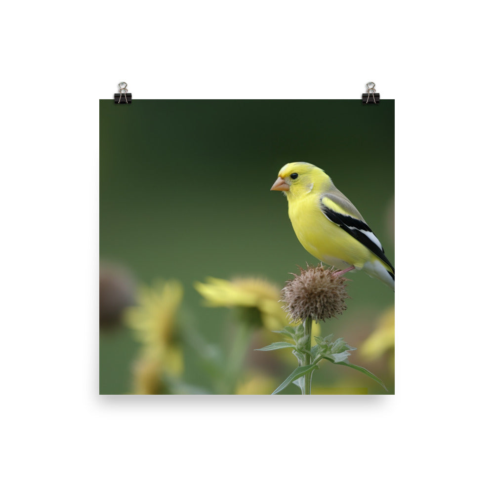 American Goldfinch in the Garden Photo paper poster - PosterfyAI.com