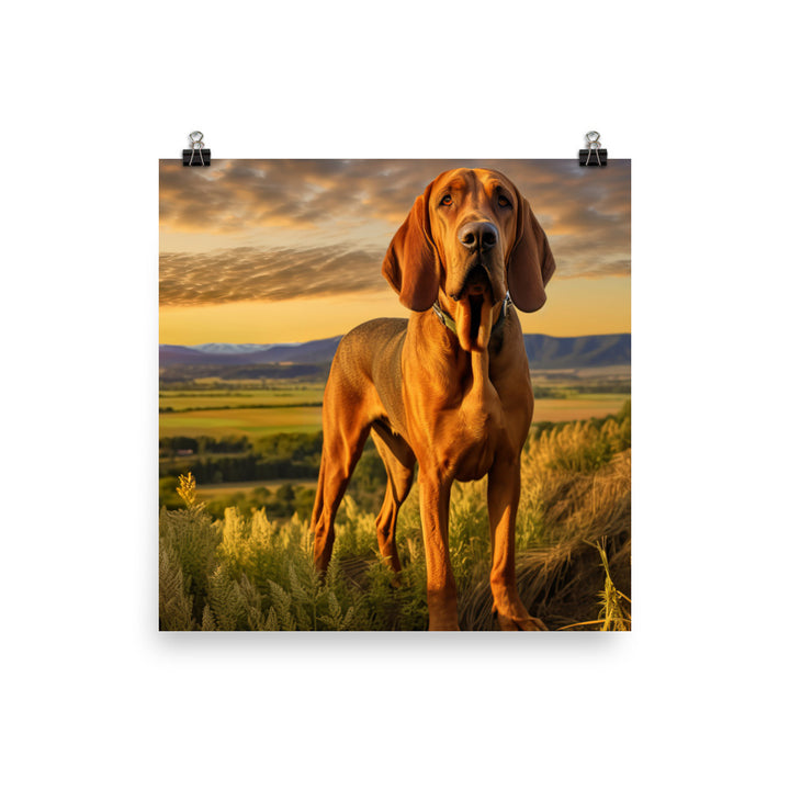 Bloodhound Portrait Photo paper poster - PosterfyAI.com