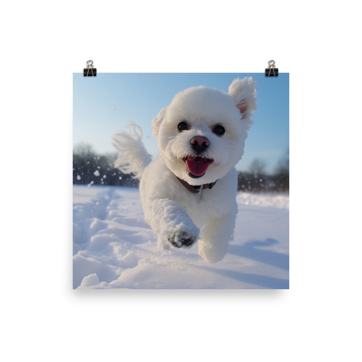 Bichon Frise in the Snow Photo paper poster - PosterfyAI.com