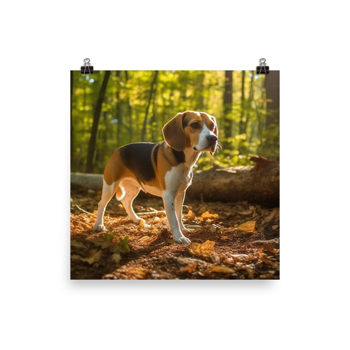 Beagle on the scent Photo paper poster - PosterfyAI.com