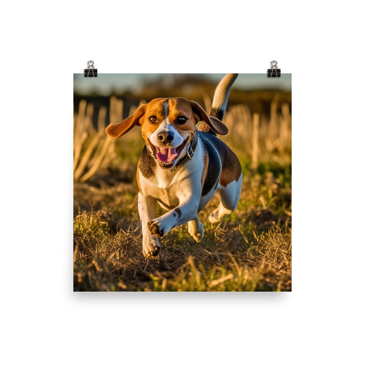 Beagle at play Photo paper poster - PosterfyAI.com
