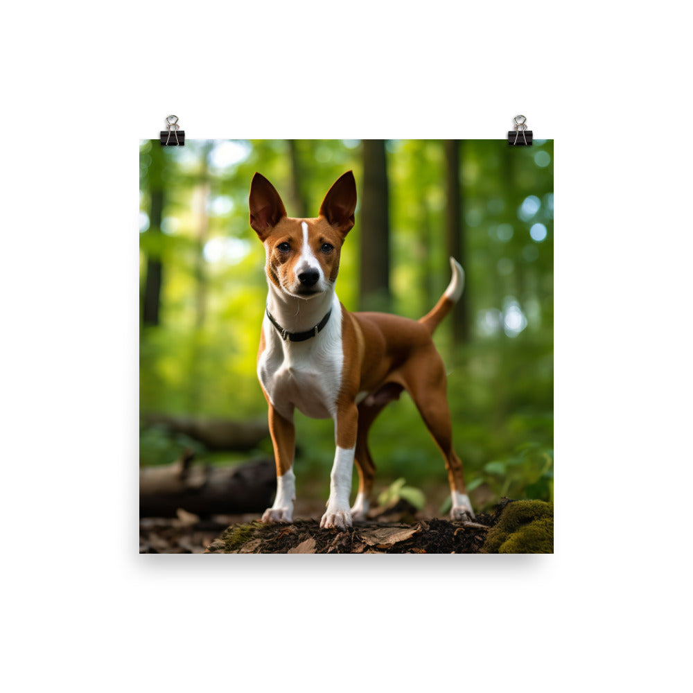 Basenji in Nature Photo paper poster - PosterfyAI.com