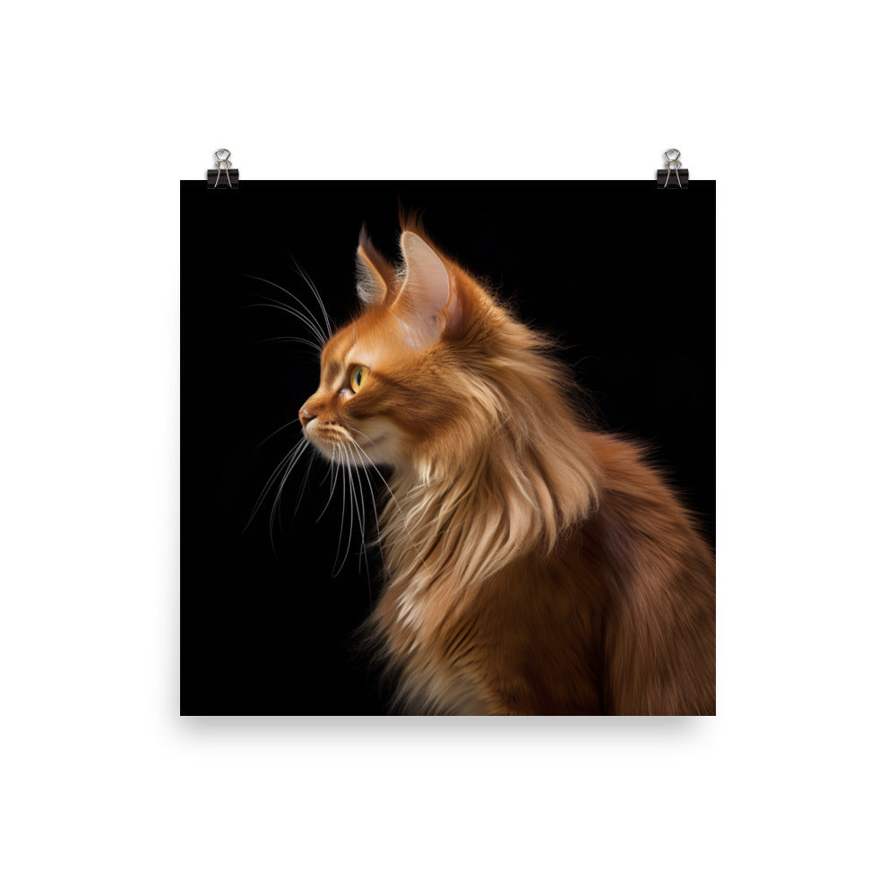 Beauty of Somali Cat Photo paper poster - PosterfyAI.com
