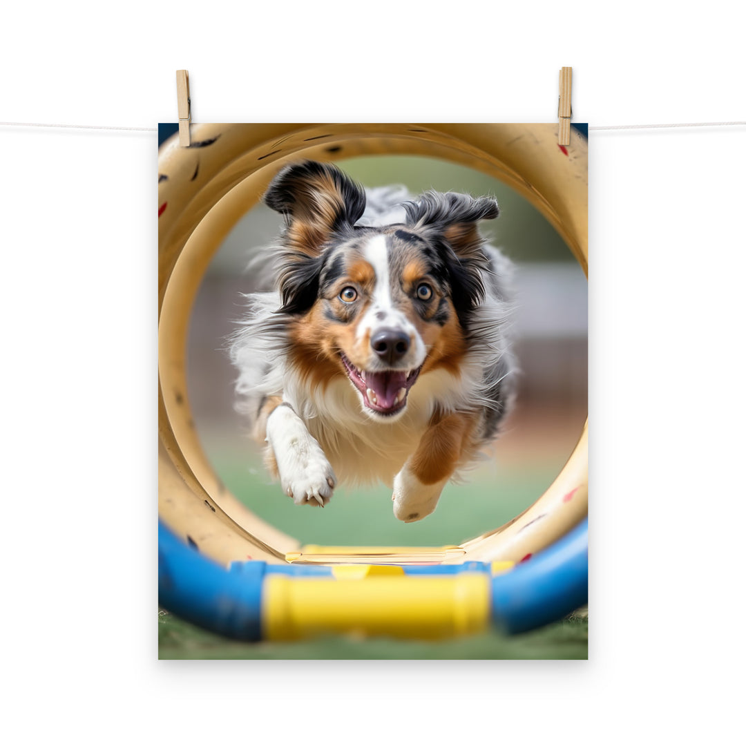 Australian Shepherd Photo paper poster - PosterfyAI.com