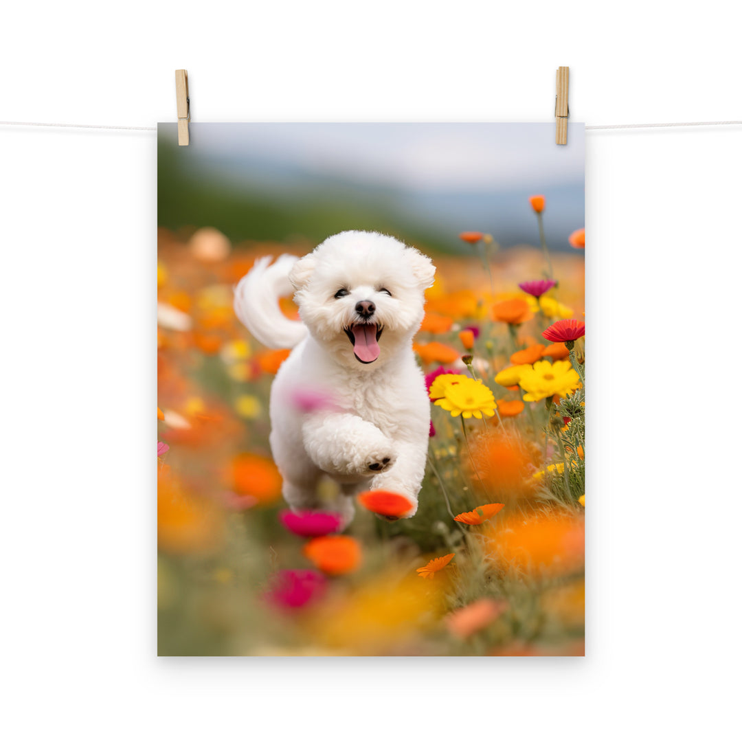 Bichon Frise Photo paper poster - PosterfyAI.com