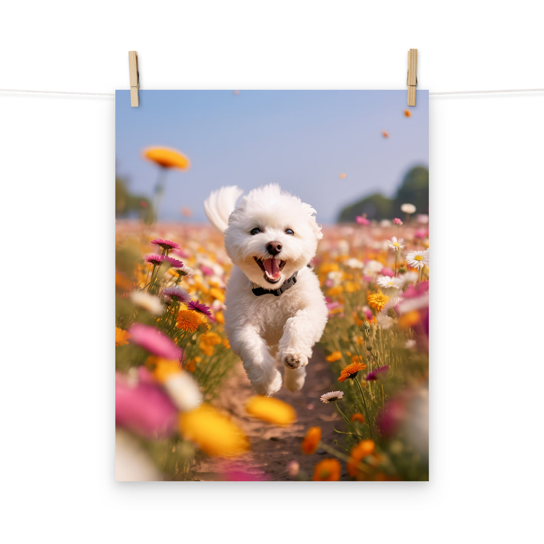 Bichon Frise Photo paper poster - PosterfyAI.com