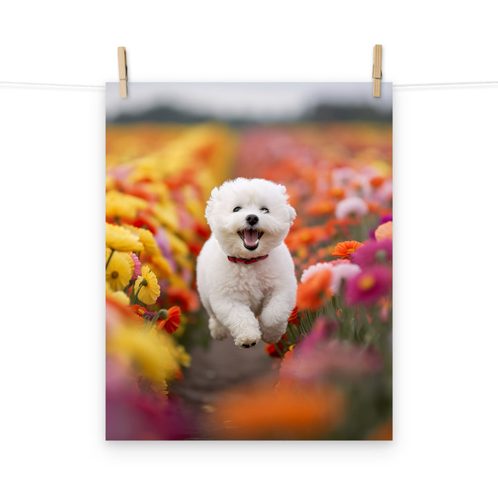 Bichon Frise Photo paper poster - PosterfyAI.com