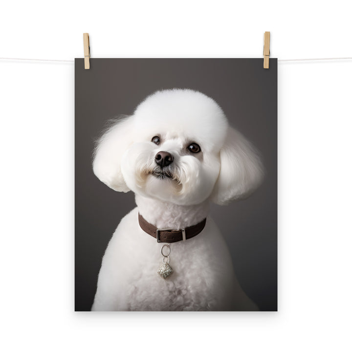 Bichon Frise Photo paper poster - PosterfyAI.com