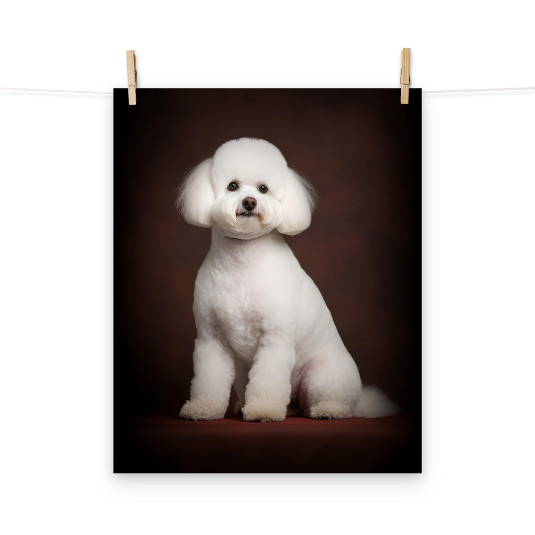 Bichon Frise Photo paper poster - PosterfyAI.com