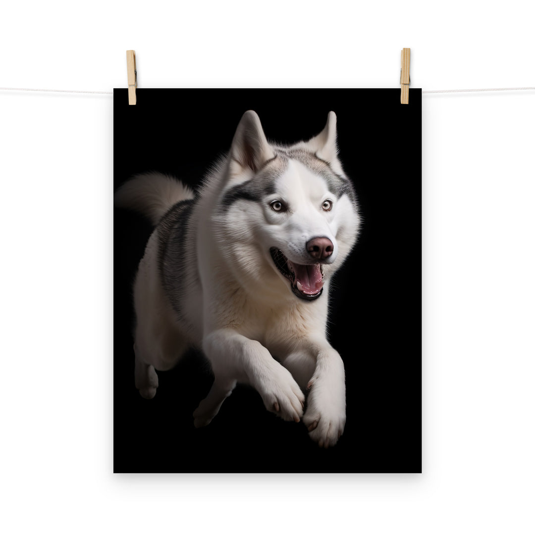 Siberian Husky Photo paper poster - PosterfyAI.com