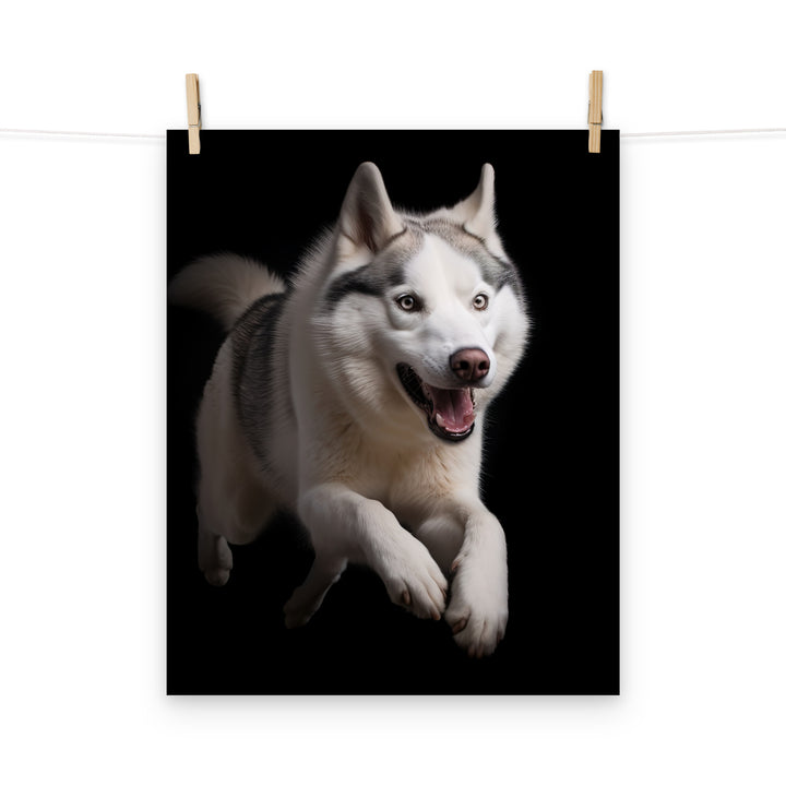 Siberian Husky Photo paper poster - PosterfyAI.com