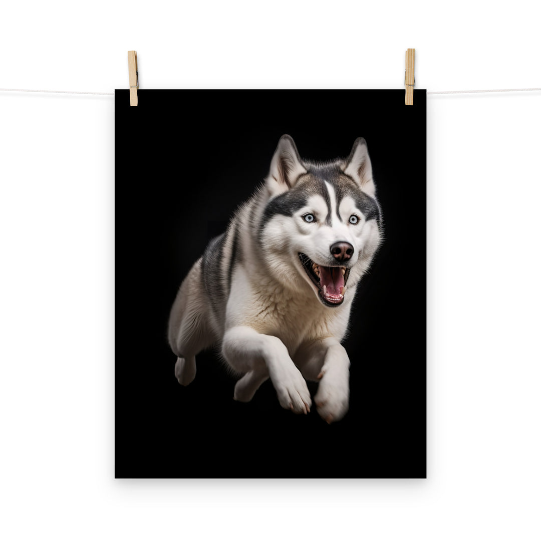 Siberian Husky Photo paper poster - PosterfyAI.com