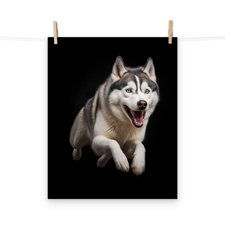 Siberian Husky Photo paper poster - PosterfyAI.com