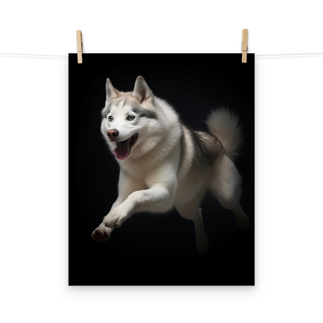 Siberian Husky Photo paper poster - PosterfyAI.com