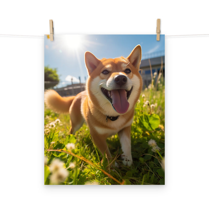 Shiba Inu Photo paper poster - PosterfyAI.com
