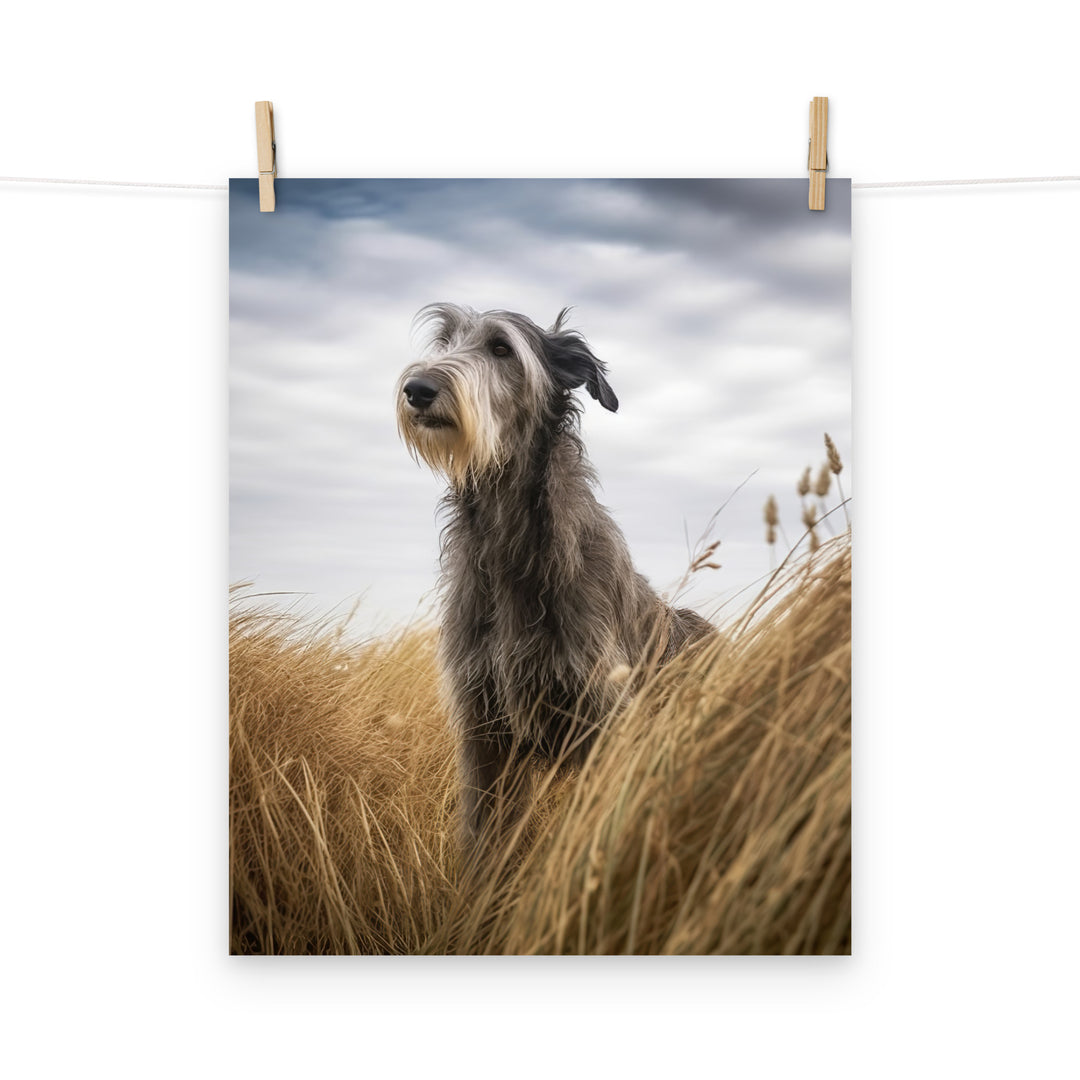 Scottish Deerhound Photo paper poster - PosterfyAI.com