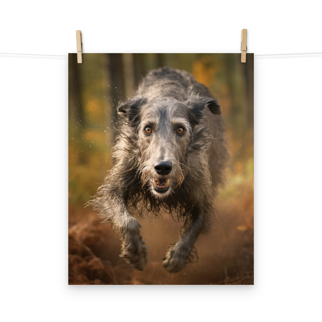 Scottish Deerhound Photo paper poster - PosterfyAI.com