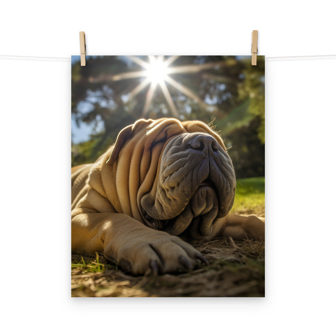 Shar Pei Photo paper poster - PosterfyAI.com
