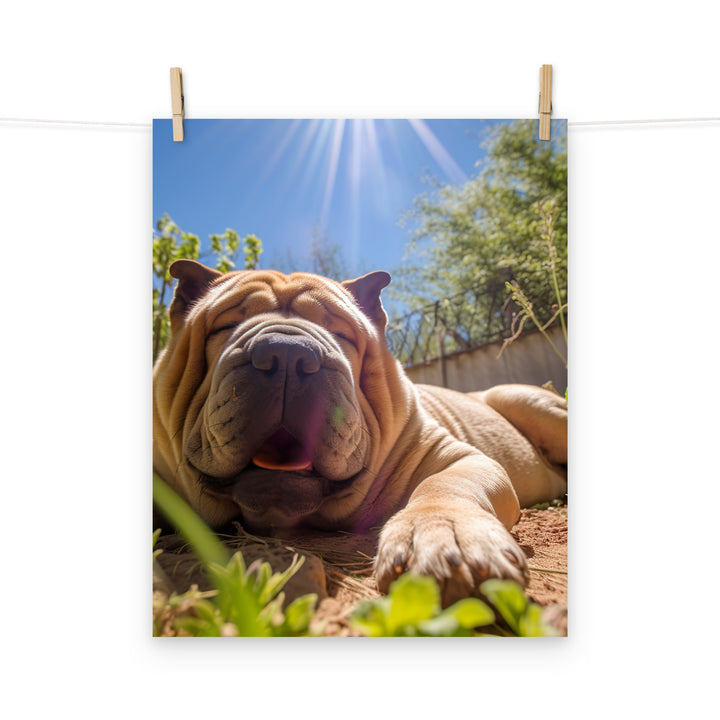 Shar Pei Photo paper poster - PosterfyAI.com