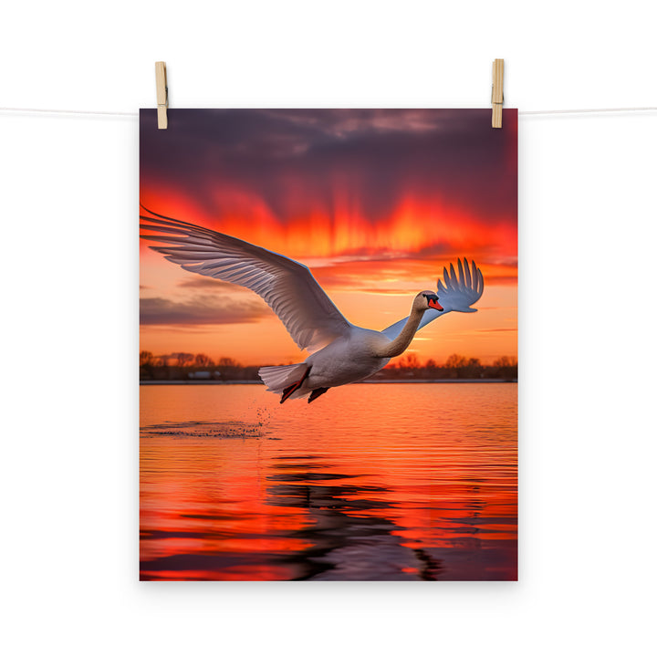 Swan Photo paper poster - PosterfyAI.com