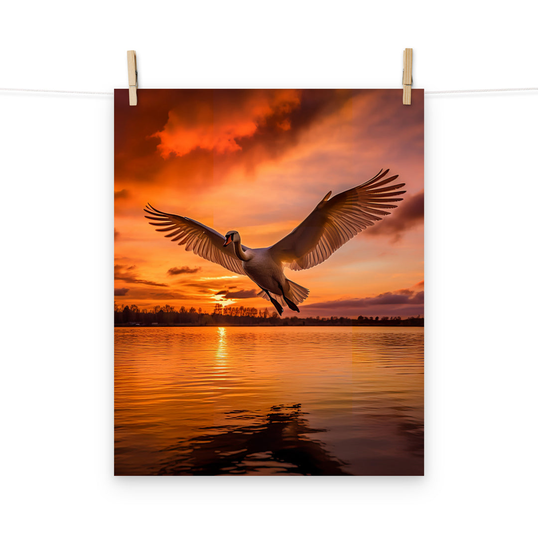 Swan Photo paper poster - PosterfyAI.com