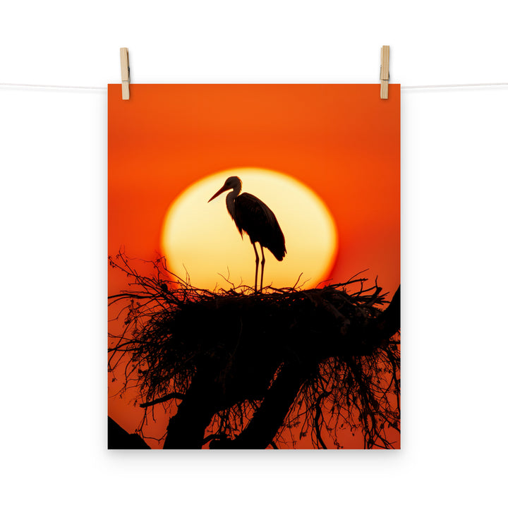 Stork Photo paper poster - PosterfyAI.com
